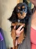 Twix